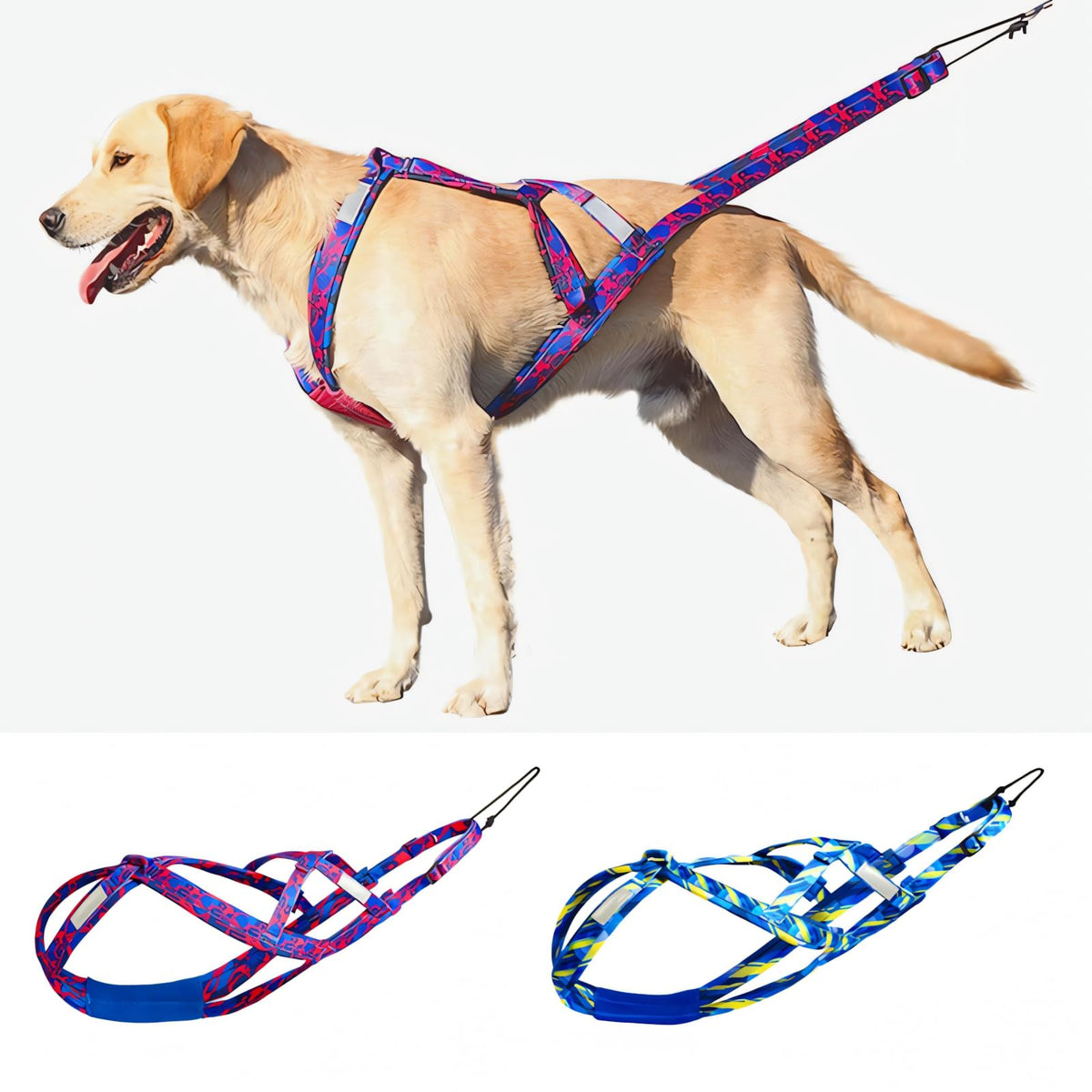 Sled Dog Chest and Back Harness Suitable for Medium and Large Dogs Husky Alaskan Snowboard Leash Traction Rope Dog Weight Pulling Safety Belt (Blue XL)